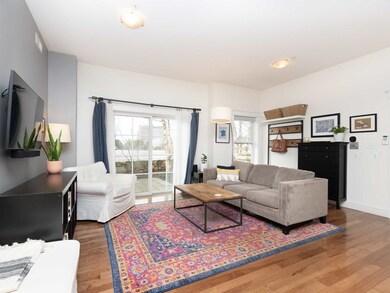 61 Bolton St unit 102, Cambridge, MA 02140 - photo 2