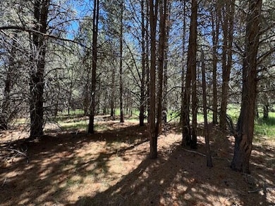 0 Nfd 440 Rd unit 220184517, Chiloquin, OR 97624 - photo 7