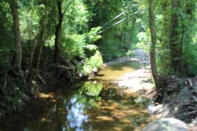 spring fed creek