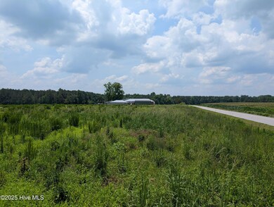 PXL_20250624_162600103