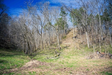 1438 Wartrace Rd, Red Blng Springs, TN 37150 - photo 7