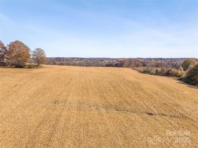 000 Rosedale Point, Lincolnton, NC 28092 - photo 6