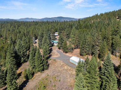 152 Tillacum Trail, Newport, WA 99156 - photo 6