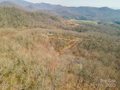 0 Shining Rock Path unit 12 CAR4241175, Horse Shoe, NC 28742 - photo 7