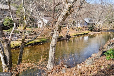 4119 Riverbank Run unit 19, Hiawassee, GA 30546 - photo 4