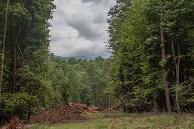 LOT 1 Clay's Way, Blue Ridge, GA 30540 - photo 5