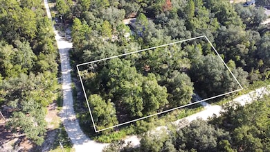 Lot 1 Ne 85th St, Bronson, FL 32621 - photo 2