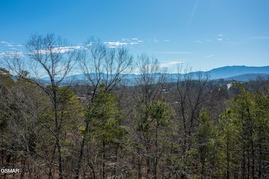 Lot 41 Kings Hills Blvd, Pigeon Forge, TN 37863 - photo 4