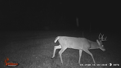 5 Points Rd, Gray, GA 31032 - photo 4