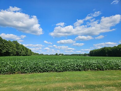 5305 E State Road 46, Greensburg, IN 47240 - photo 2