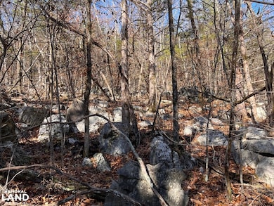 0 Southard Rd unit 25767772, Gurley, AL 35748 - photo 6