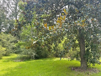 829 S Beech St, Picayune, MS 39466 - photo 3