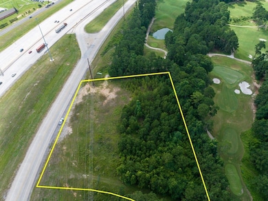 I-45 South, Huntsville, TX 77340 - photo 4