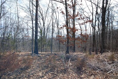Lot 4 Irish Hills Blvd, Kimberling City, MO 65686 - photo 2