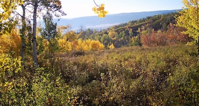 55966 Hannahs Way, Clark, CO 80428 - photo 3