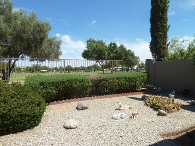 See the park from backyard