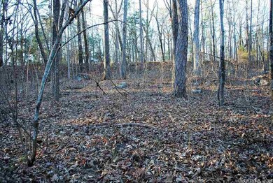 00 Lookout Dr, Tumbling Shoals, AR 72581 - photo 7