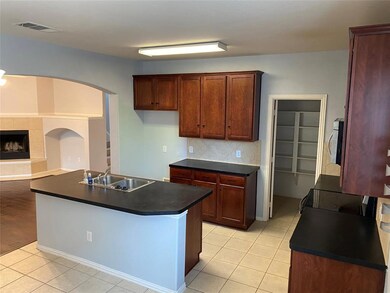 10128 Cherry Hill Ln, Providence Village, TX 76227 - photo 4