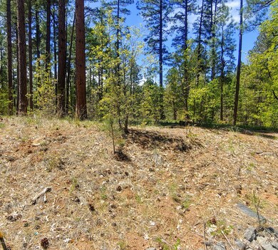 Torreon Woods