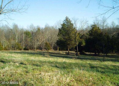 0 Mt Pisgah Church Rd unit 1003863084, Orange, VA 22960 - photo 4