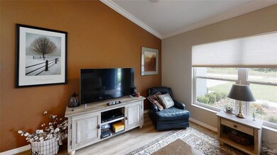 LIVING ROOM PIC 2