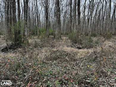 8735 Fernbank Rd, Millport, AL 35576 - photo 3