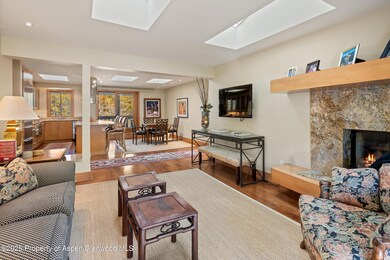 1020 E Hopkins Ave unit 9, Aspen, CO 81611 - photo 6