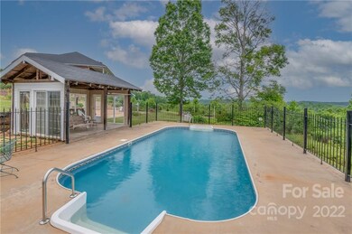 2221 Pea Ridge Rd, Mill Spring, NC 28756 - photo 4