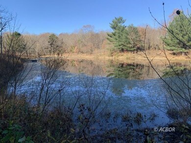 Pond