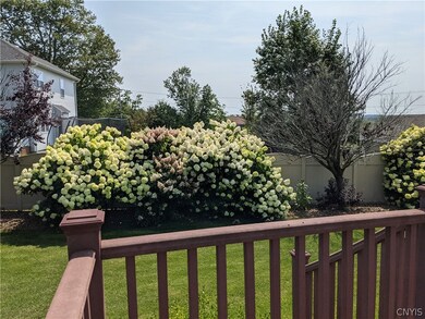 Hydrangea trees in full bloom! The view is very pr