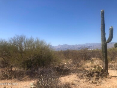 Catalina Mountains