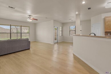 9144 Kanawha Ct, Denham Springs, LA 70726 - photo 5