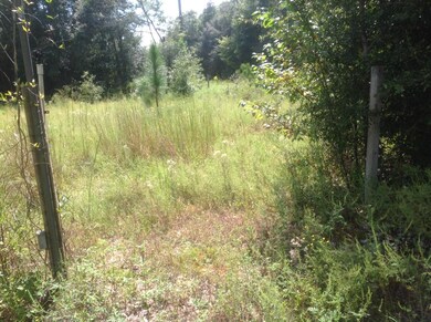 image7[1]