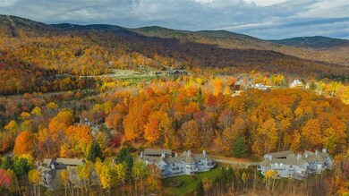 2 Garmisch Ct unit 103, Wilmington, VT 05363 - photo 6