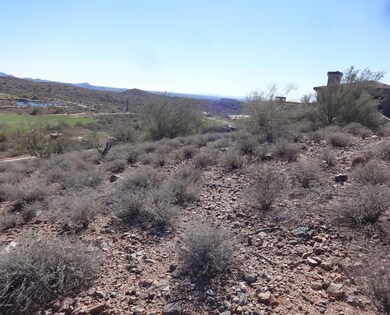 Distant City Views
