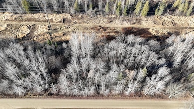 Parcel A Parameter Rd, Deer River, MN 56636 - photo 3