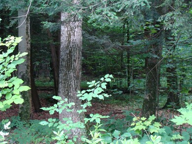 0 Old Gravity Rd unit PWB153139, Wayne County, PA 18436 - photo 2