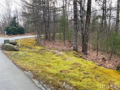Lot 20 E Ridge Rd, Cashiers, NC 28717 - photo 5