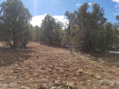 0 Power Line Rd unit 233867, Overgaard, AZ 85933 - photo 3