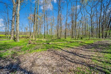 77-web-or-mls-DSC01106