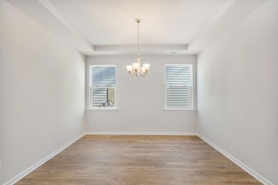 269 Tuscan Sun St, Ridgeville, SC 29472 - photo 3