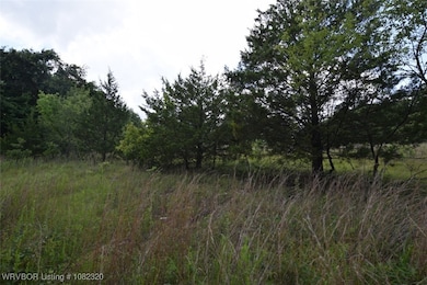 36005 Oklahoma 20, Jay, OK 74346 - photo 3