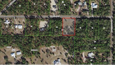 10278 W Belfast St, Crystal River, FL 34428 - photo 6