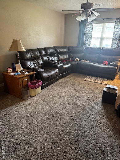 1013 Susan St, Dexter, MO 63841 - photo 3