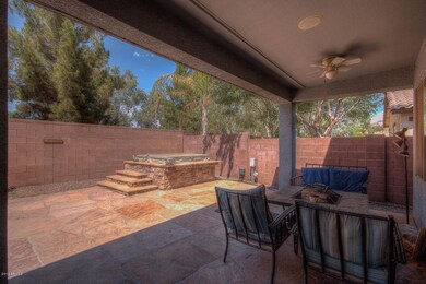 Backyard Oasis