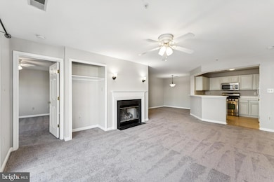 13117 Millhaven Place unit F, Germantown, MD 20874 - photo 2