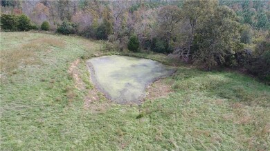 000 Old Coleridge Rd, Siler City, NC 27344 - photo 7