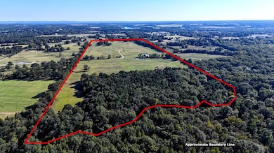 10769 County Road 3519, Murchison, TX 75778 - photo 3