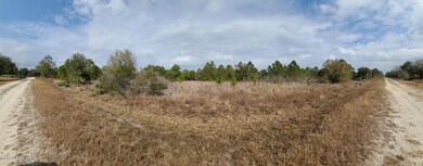 27076 Treadmill Dr, Punta Gorda, FL 33955 - photo 2