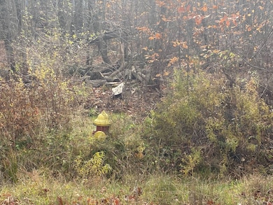 0 Lausanne Dr, Fallsburgh, NY 12789 - photo 2